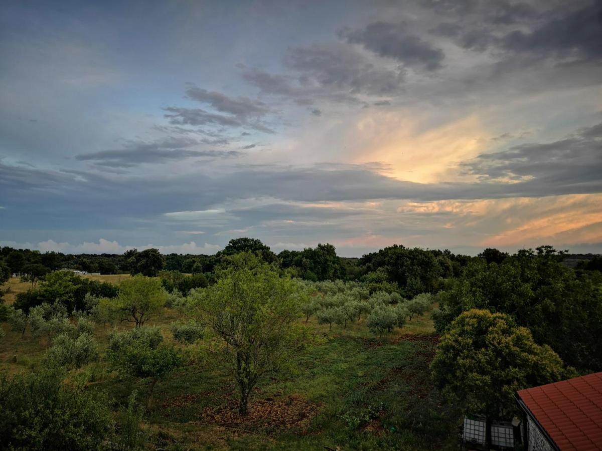 Apartment Sunrise, Coastal Istra, Pula Duga Uvala Pavicini المظهر الخارجي الصورة