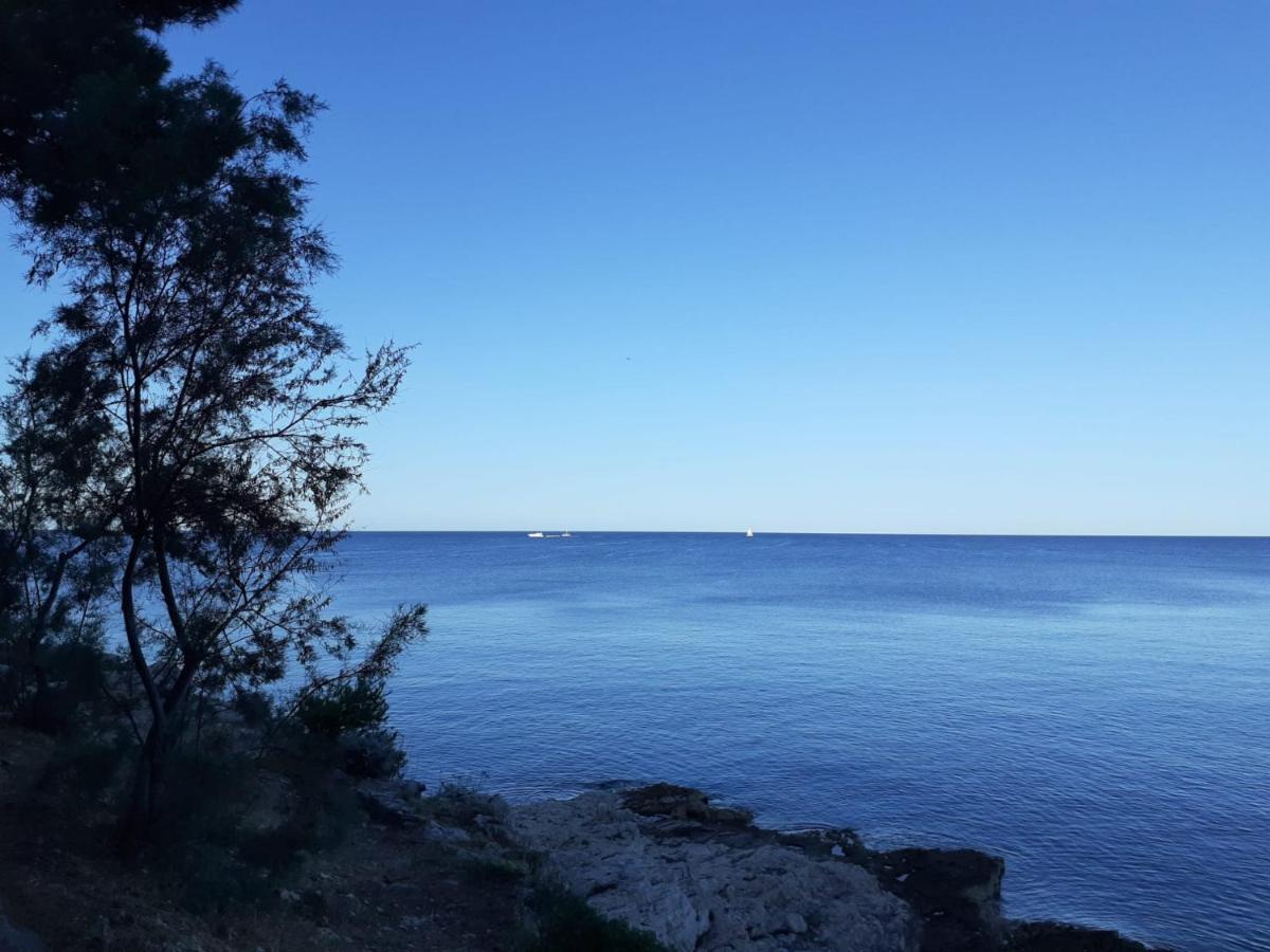 Apartment Sunrise, Coastal Istra, Pula Duga Uvala Pavicini المظهر الخارجي الصورة